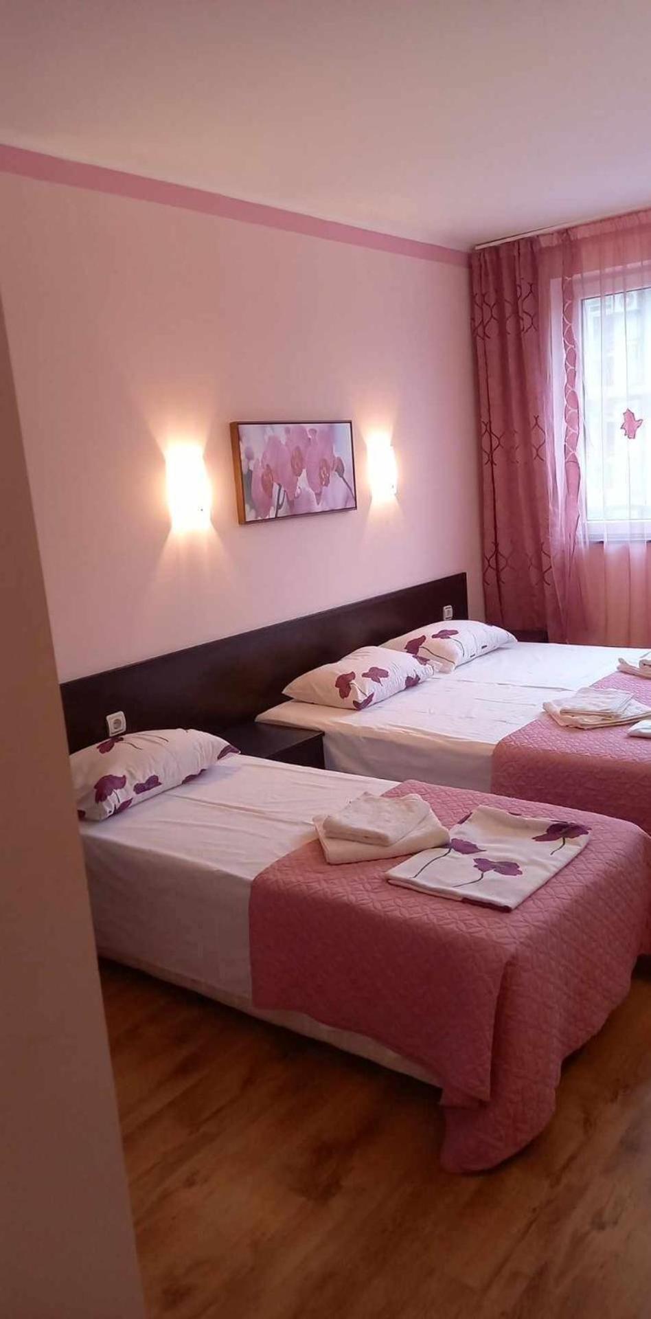 Central Plaza Apartment Slantchev Briag Extérieur photo